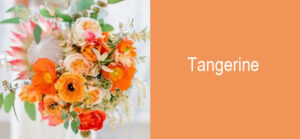 Color pesca matrimonio Tangerine