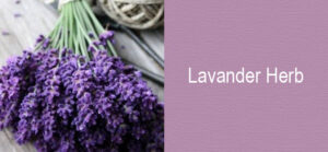 matrimonio provenzale colori lavander harb