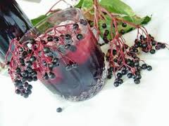 tisana al sambuco
