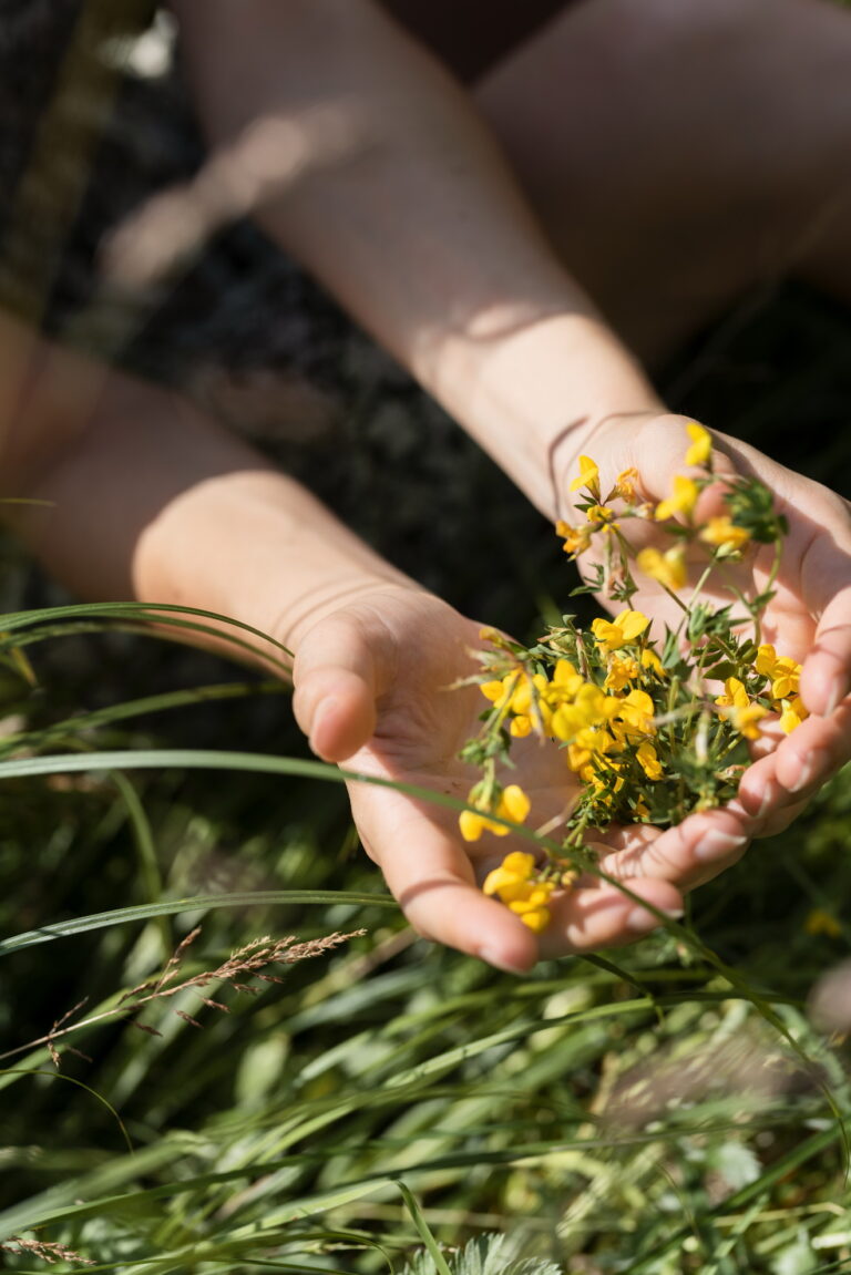 14 mani e fiori