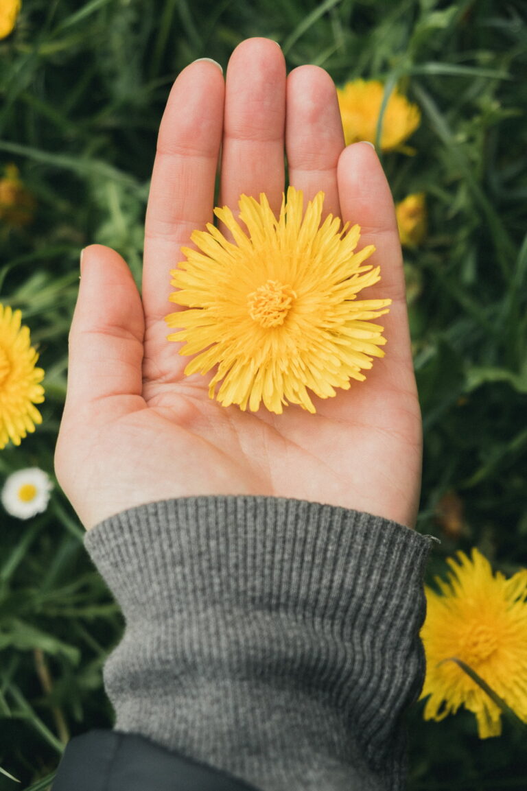 A vertical shot of a girl holding a yellow dandelion