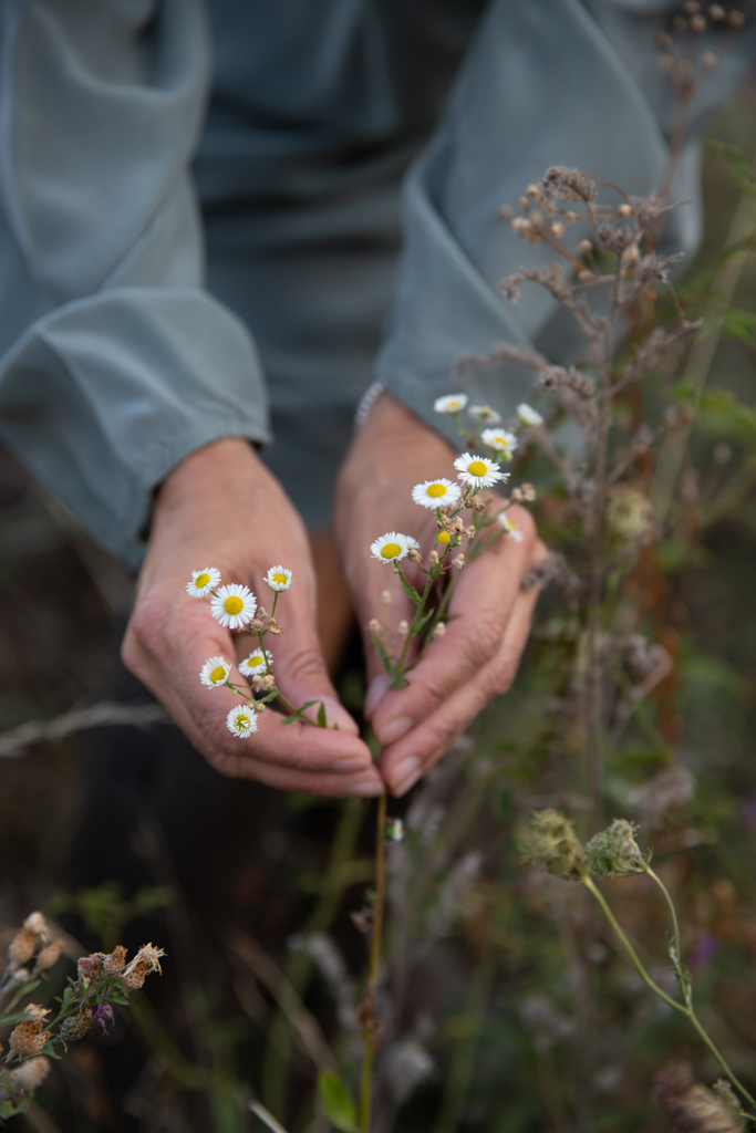 5 fiori e mani