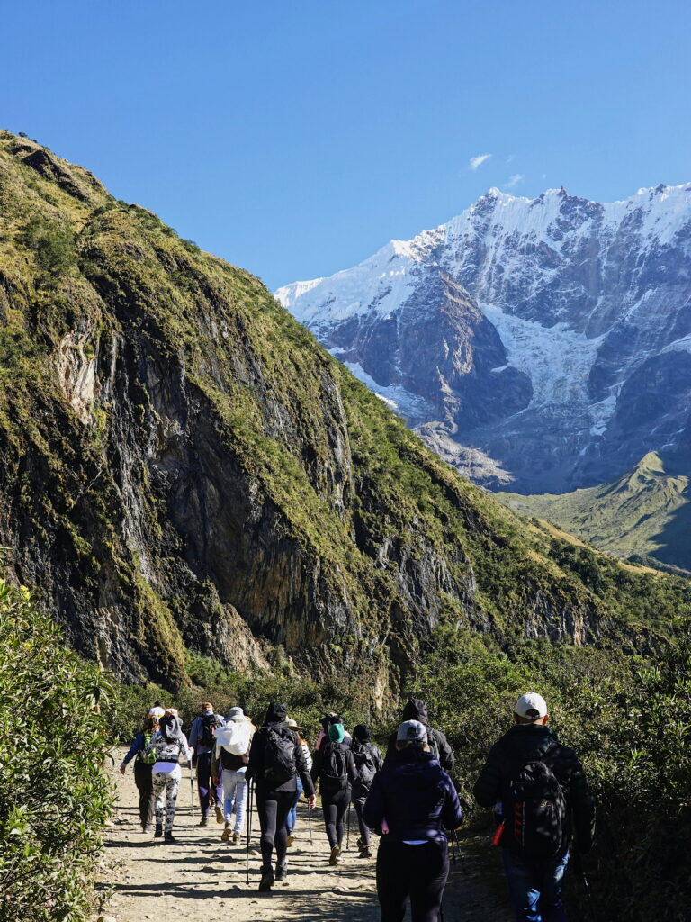 7 team walking
