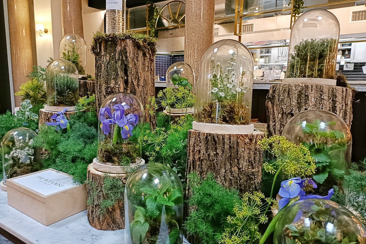 7 nature window display milano