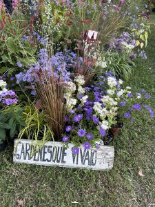 Vivaio Gardenesque.