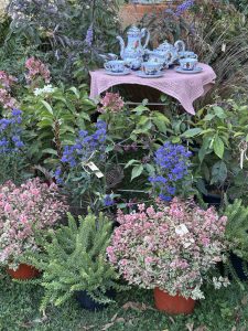 Cottage Garden