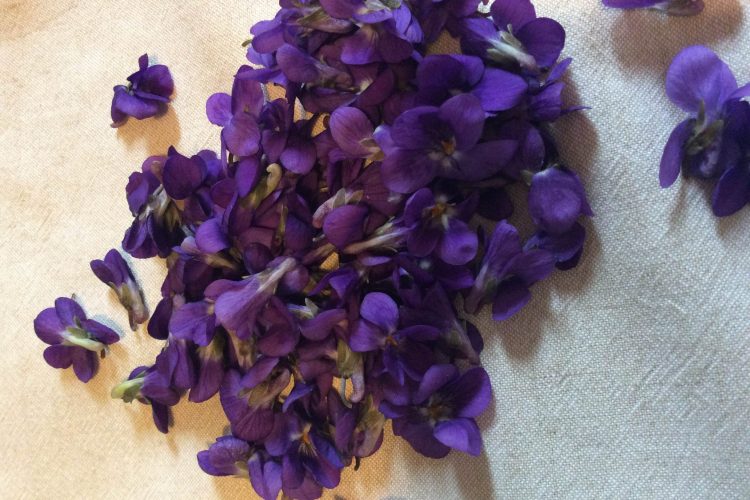 Ricette con violette